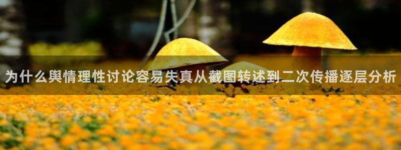 91吃瓜网络信息：为什么舆情理性讨论容易失真从截图转述到二次传播逐层分析