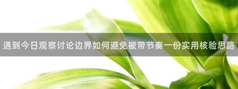 91吃瓜在线观看入口：遇到今日观察讨论边界如何避免被带节奏一份实用核验思路