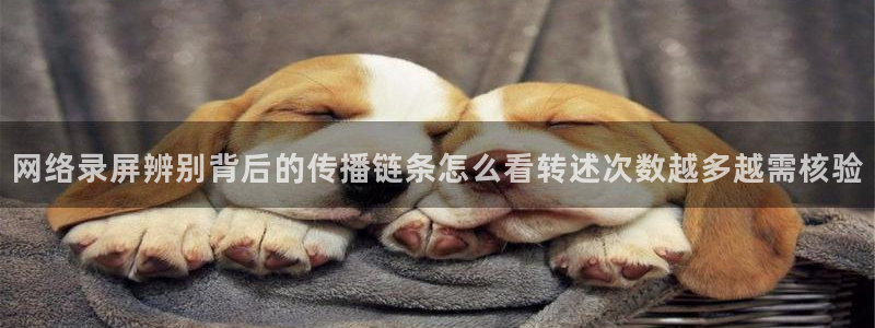 吃瓜最新网址入口:网络录屏辨别背后的传播链条怎么看转述次数越多越需核验