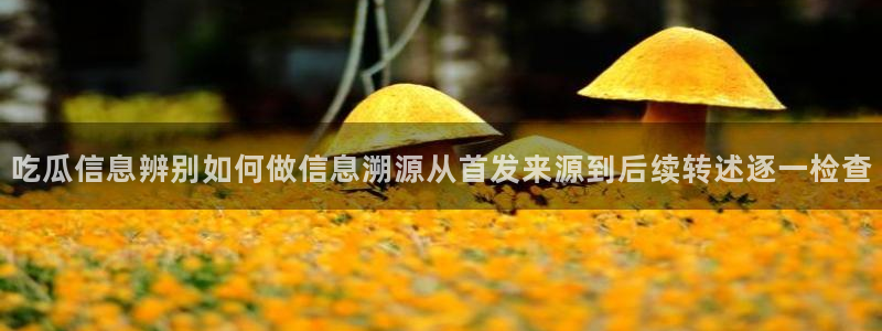 91吃瓜爆料热点:吃瓜信息辨别如何做信息溯源从首发来源到后续转述逐一检查