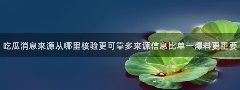 91吃瓜热门话题:吃瓜消息来源从哪里核验更可靠多来源信息比单一爆料更重要