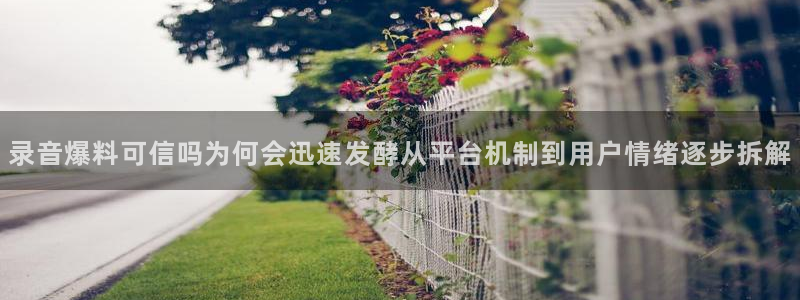 91吃瓜内容大全：录音爆料可信吗为何会迅速发酵从平台机制到用户情绪逐步拆解