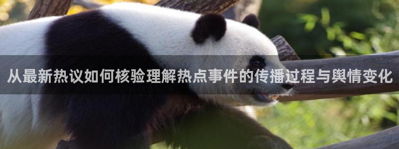 91吃瓜爆料大全:从最新热议如何核验理解热点事件的传播过程与舆情变化